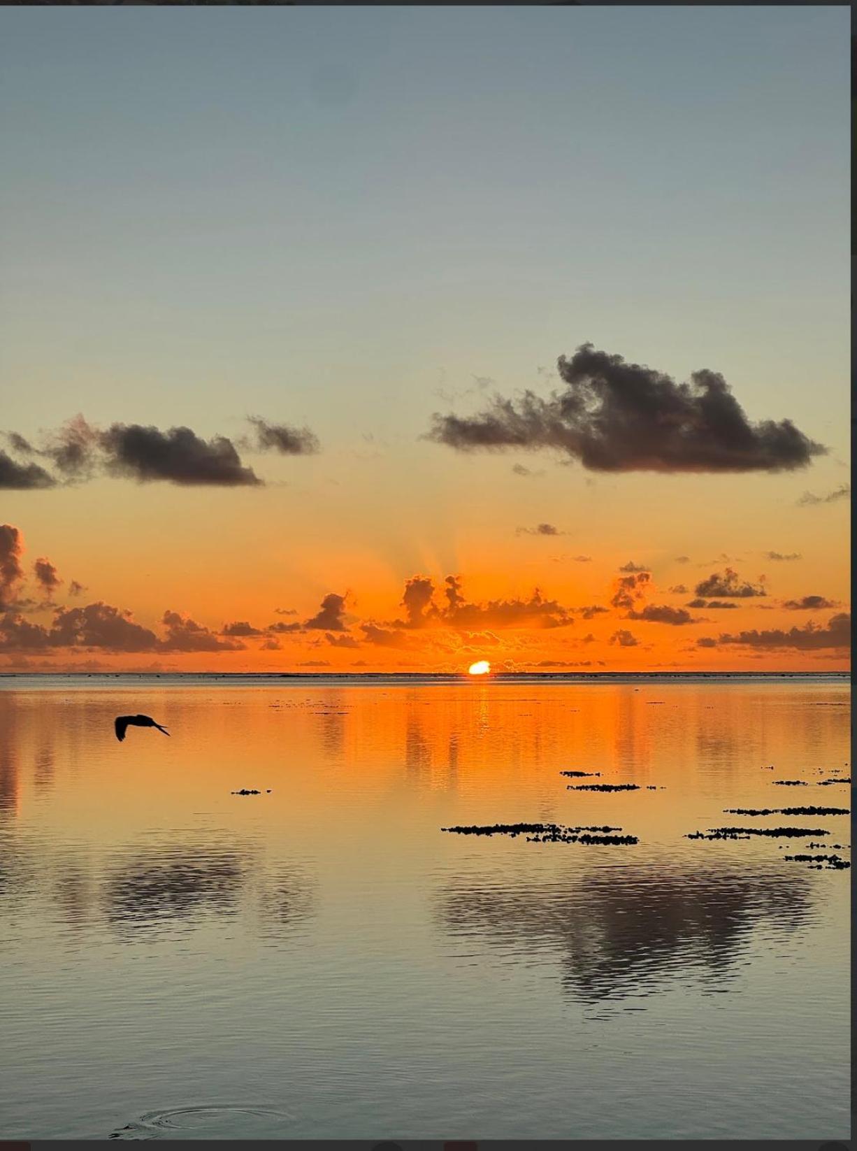 Abera'S Aitutaki Villas آروتانغا المظهر الخارجي الصورة